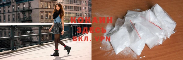 мет Грязовец