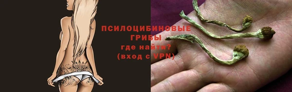 дмт Пролетарск