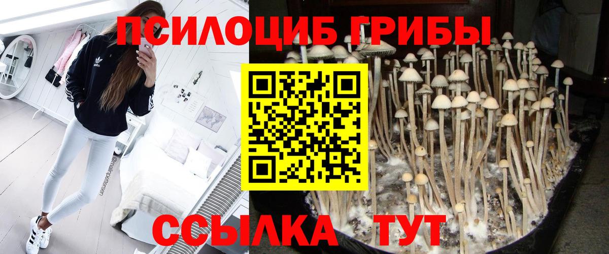 Луховицы  Псилоцибиновые грибы Psilocybe  Вход с VPN  где найти   Галлюциногенные грибы Psilocybine cubensis 